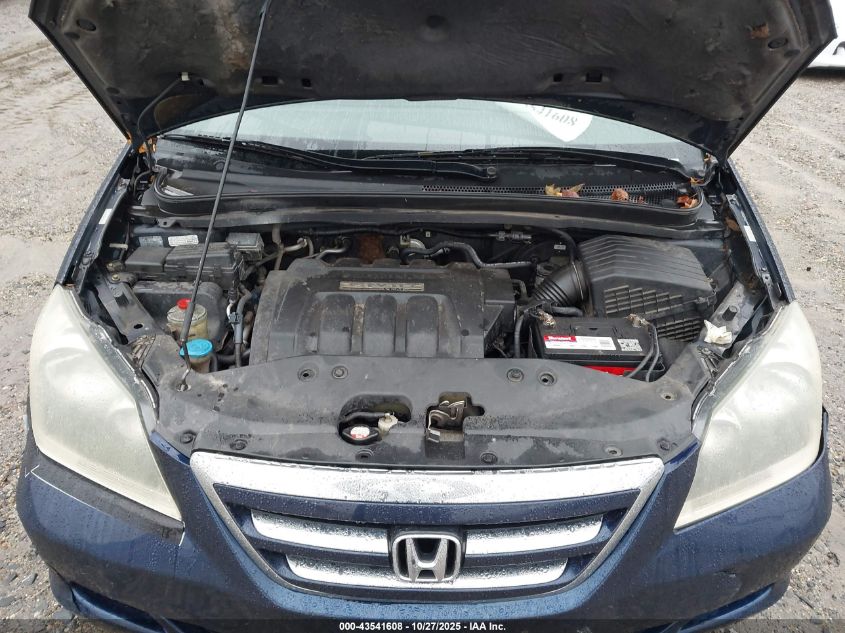 2005 Honda Odyssey Ex-L VIN: 5FNRL38745B007494 Lot: 43541608