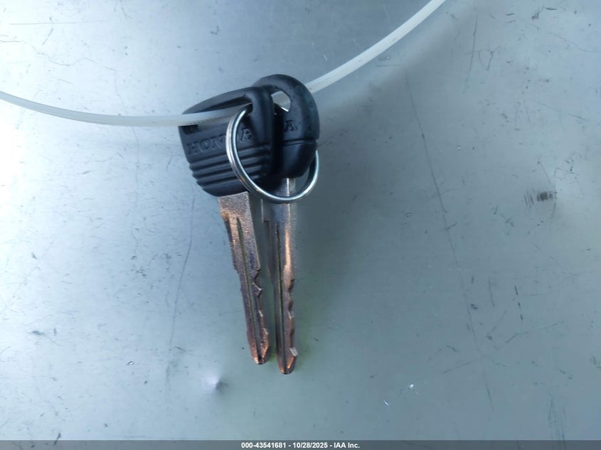 1997 Honda Cr-V VIN: JHLRD1850VC019609 Lot: 43541681