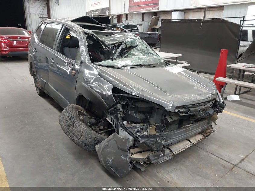 SUBARU FORESTER WILDERNESS