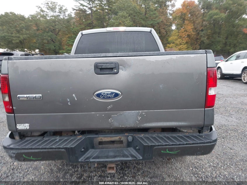 2005 Ford F-150 Fx4/Lariat/Xl/Xlt VIN: 1FTPX14535NB60700 Lot: 43542743