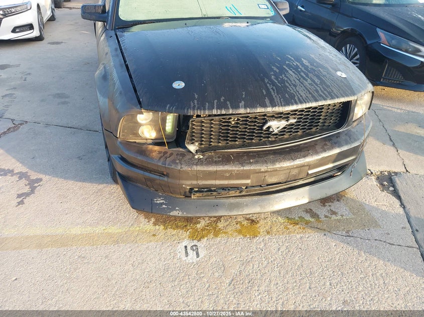 2008 Ford Mustang V6 Deluxe/V6 Premium VIN: 1ZVHT80N085108165 Lot: 43542800