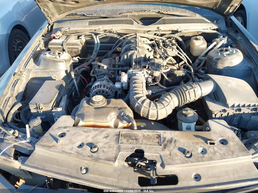 2008 Ford Mustang V6 Deluxe/V6 Premium VIN: 1ZVHT80N085108165 Lot: 43542800