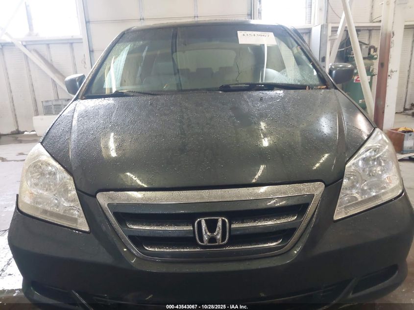 2005 Honda Odyssey Ex-L VIN: 5FNRL38765B044868 Lot: 43543067