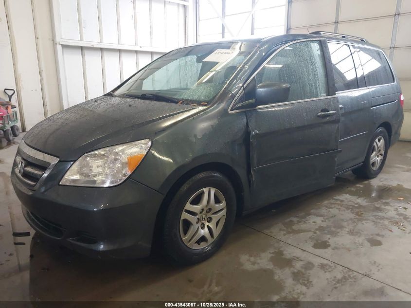 2005 Honda Odyssey Ex-L VIN: 5FNRL38765B044868 Lot: 43543067