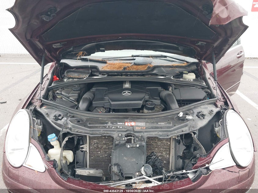 2006 Mercedes-Benz R 500 4Matic VIN: 4JGCB75E26A018454 Lot: 43543129