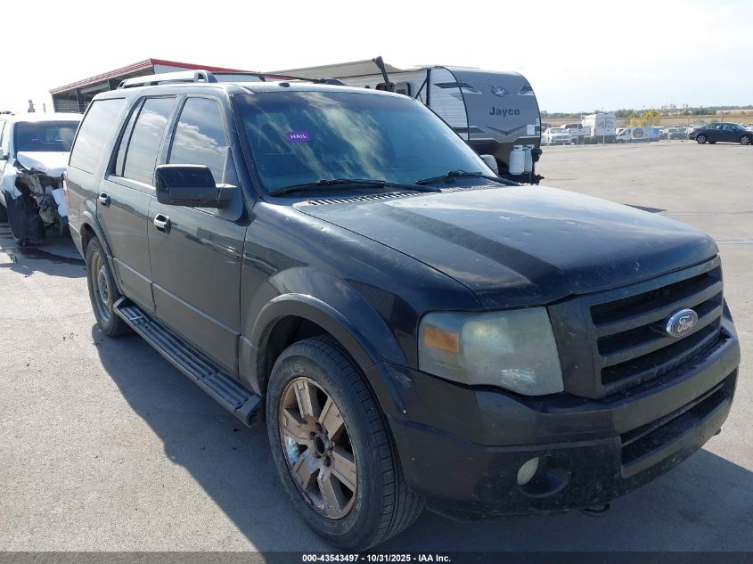 2009 Ford Expedition Limited VIN: 1FMFU205X9LA00732 Lot: 43543497