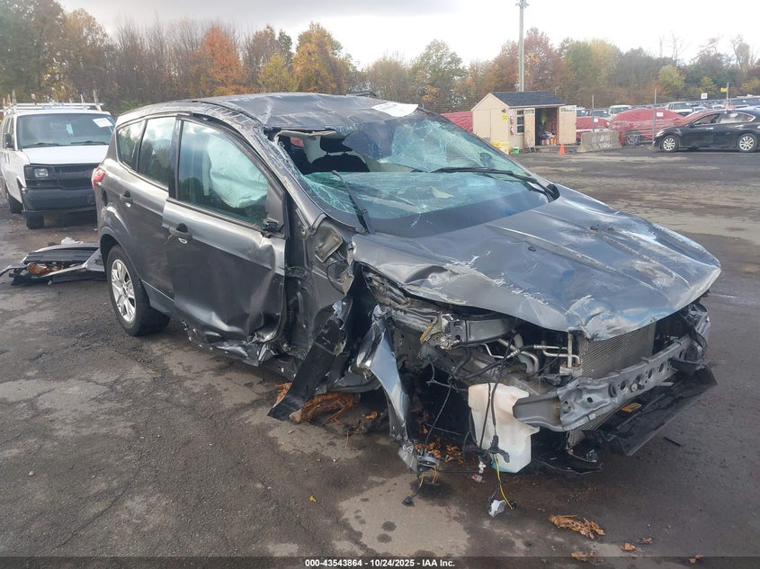 2015 FORD ESCAPE S - 1FMCU0F7XFUC18725