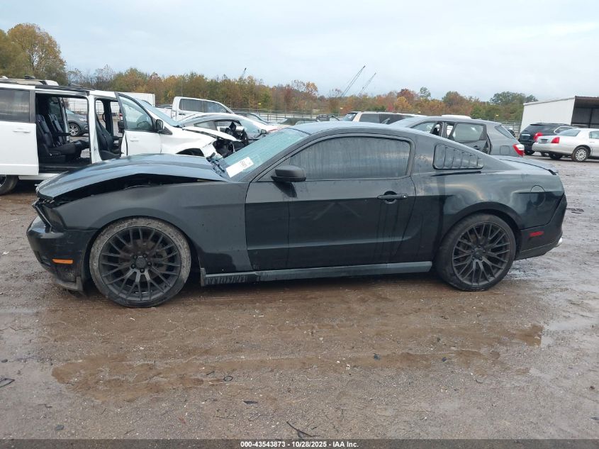2012 Ford Mustang V6 VIN: 1ZVBP8AM8C5256024 Lot: 43543873