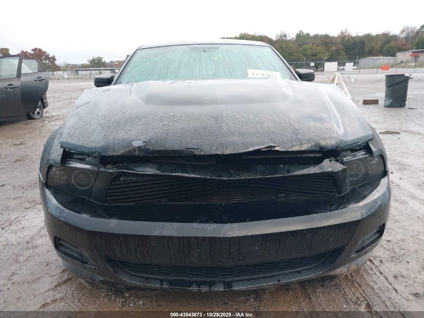 2012 Ford Mustang V6 VIN: 1ZVBP8AM8C5256024 Lot: 43543873