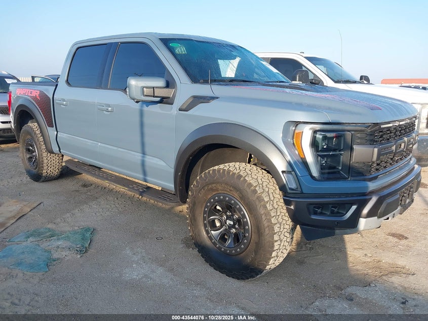 FORD F-150 RAPTOR