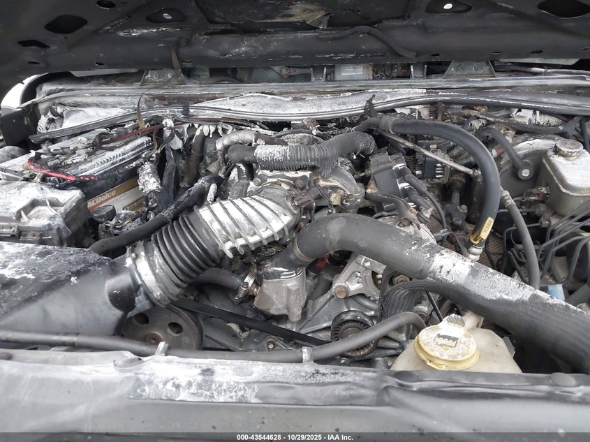 1J4GA39199L725014 2009 JEEP WRANGLER photo no. 10