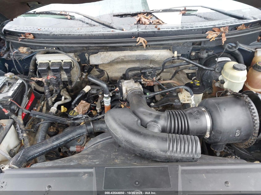 2007 Ford F-150 Fx2/Stx/Xl/Xlt VIN: 1FTRX12WX7FB33396 Lot: 43544850