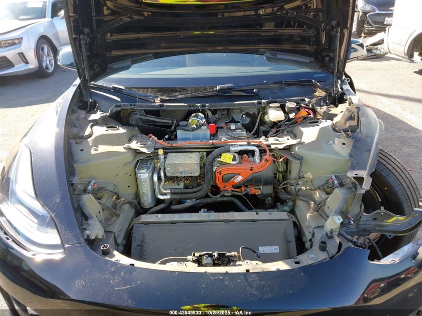 2023 Tesla Model 3 Rear-Wheel Drive VIN: 5YJ3E1EA9PF709737 Lot: 43545530