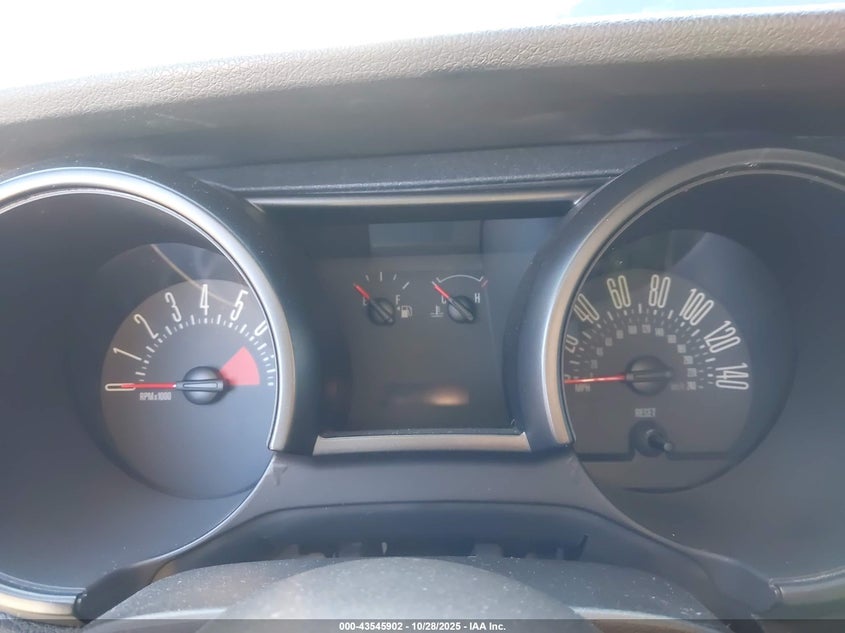 2006 Ford Mustang Gt VIN: 1ZVFT82H065213851 Lot: 43545902