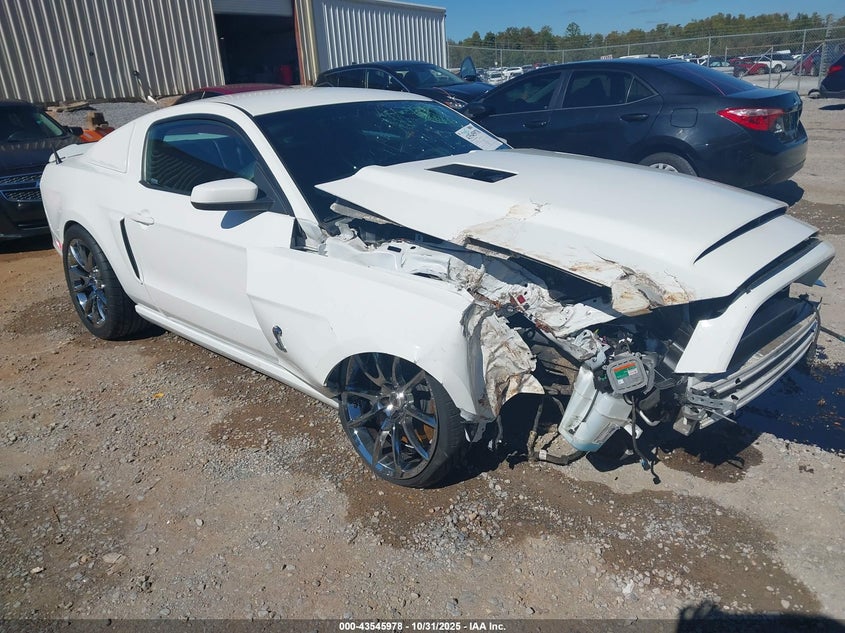 FORD SHELBY GT500 SHELBY GT500