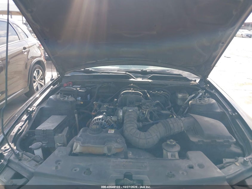 2008 Ford Mustang V6 Deluxe/V6 Premium VIN: 1ZVHT80N885114960 Lot: 43546122