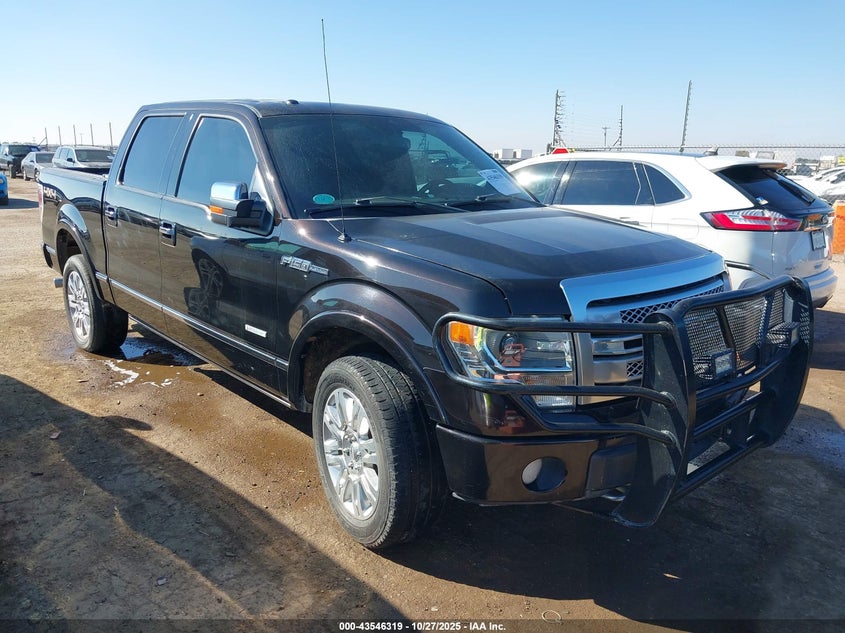 FORD F-150 PLATINUM