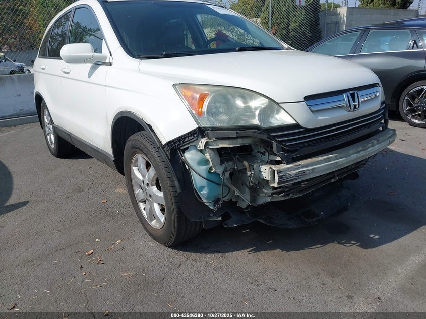 2009 Honda Cr-V Ex-L VIN: 5J6RE38789L034303 Lot: 43546390
