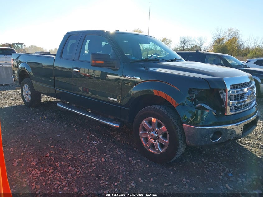 FORD F-150 XLT