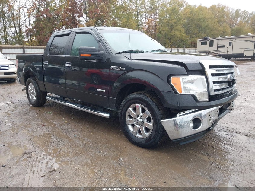 FORD F-150 XLT