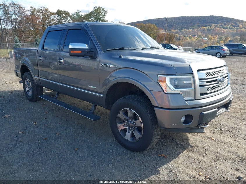 FORD F-150 PLATINUM