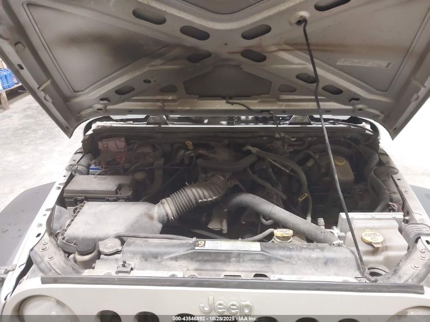 2009 Jeep Wrangler Unlimited X VIN: 1J4GA39149L703633 Lot: 43546892