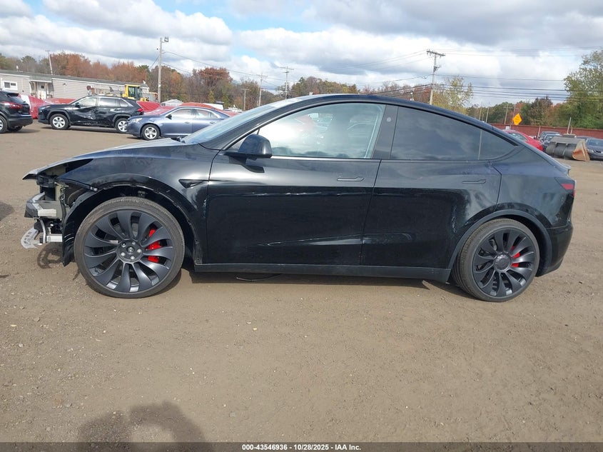 2025 Tesla Model Y Performance Dual Motor All-Wheel Drive VIN: 7SAYGDEF6SA351549 Lot: 43546936