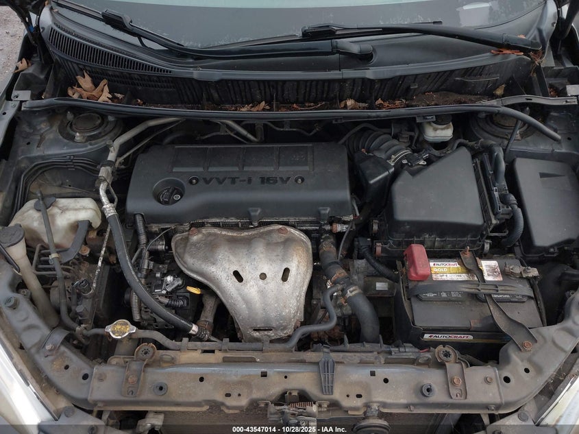 2009 Toyota Matrix S VIN: 2T1KE40E69C018924 Lot: 43547014