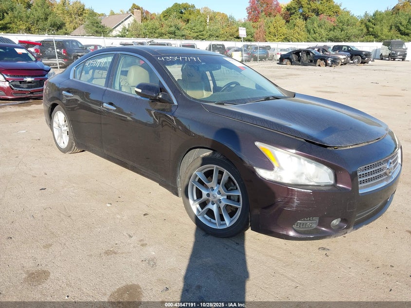 NISSAN MAXIMA 3.5 SV