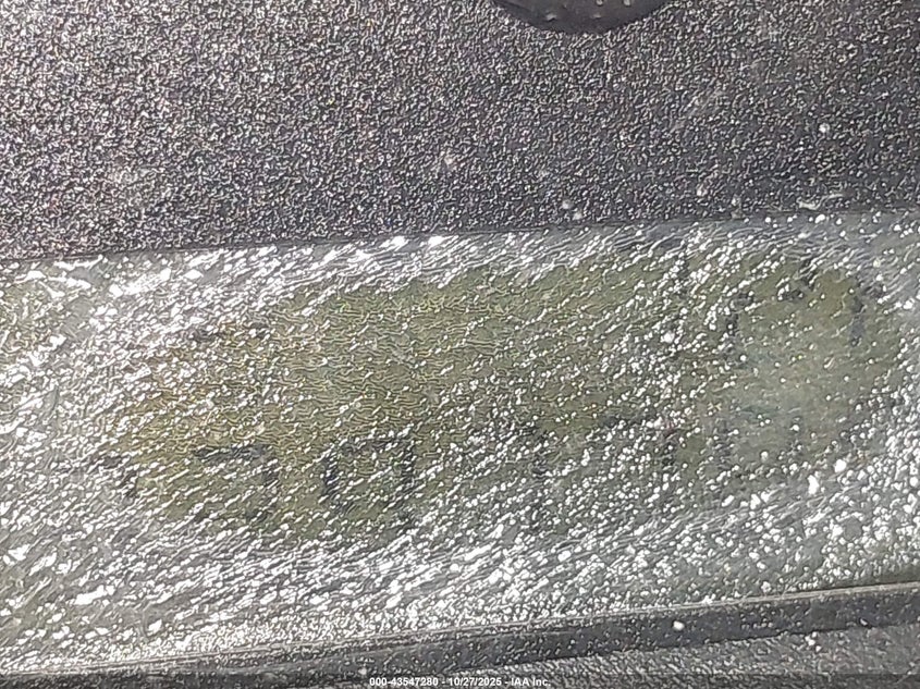 2004 Ford F-150 Xlt VIN: 1FTRW12W04KC79750 Lot: 43547280