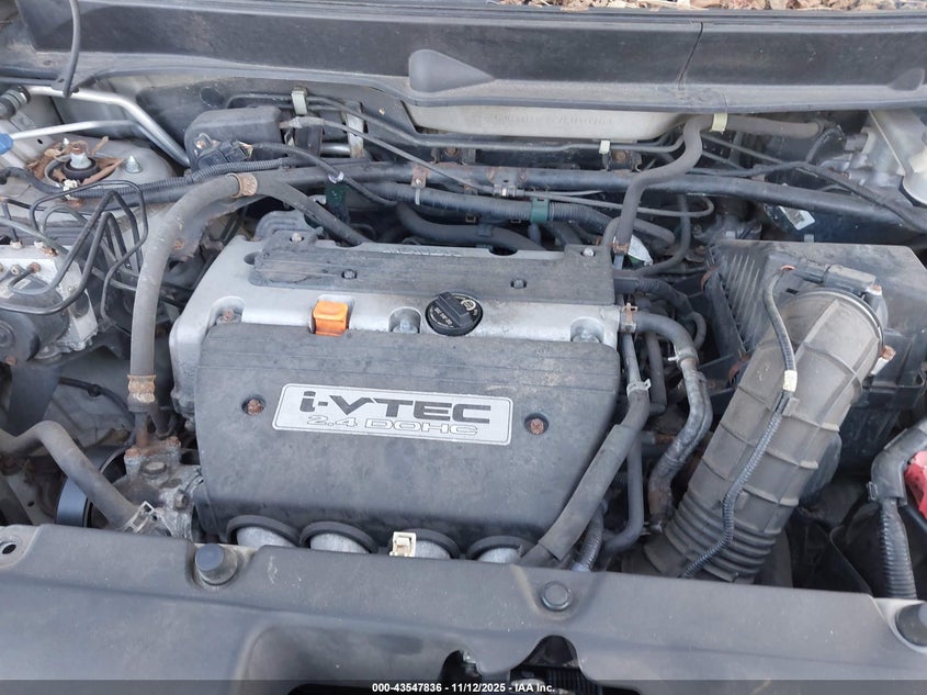 2007 Honda Element Sc VIN: 5J6YH18977L010709 Lot: 43547836