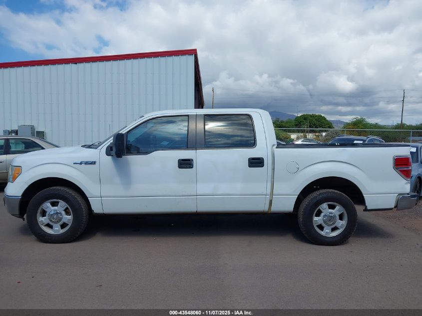 2010 Ford F-150 Fx2 Sport/Xl/Xlt VIN: 1FTEW1C82AKE77174 Lot: 43548060