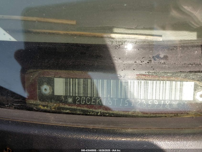 2005 Chevrolet Silverado 1500 Z71 VIN: 2GCEK13T151235918 Lot: 43548508