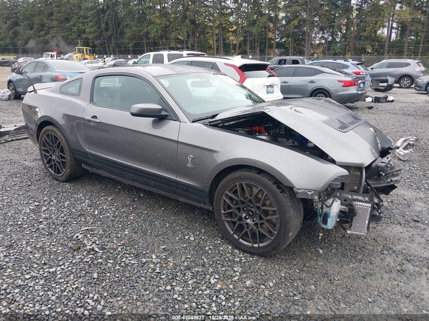 FORD SHELBY GT500 SHELBY GT500