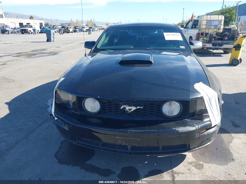 2007 Ford Mustang Gt Deluxe/Gt Premium VIN: 1ZVFT82H275363767 Lot: 43548811