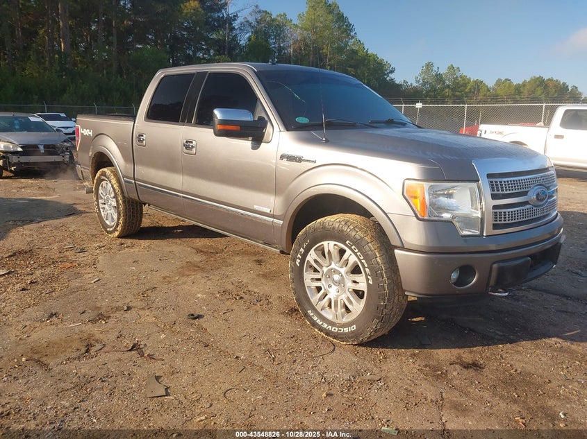 FORD F-150 PLATINUM