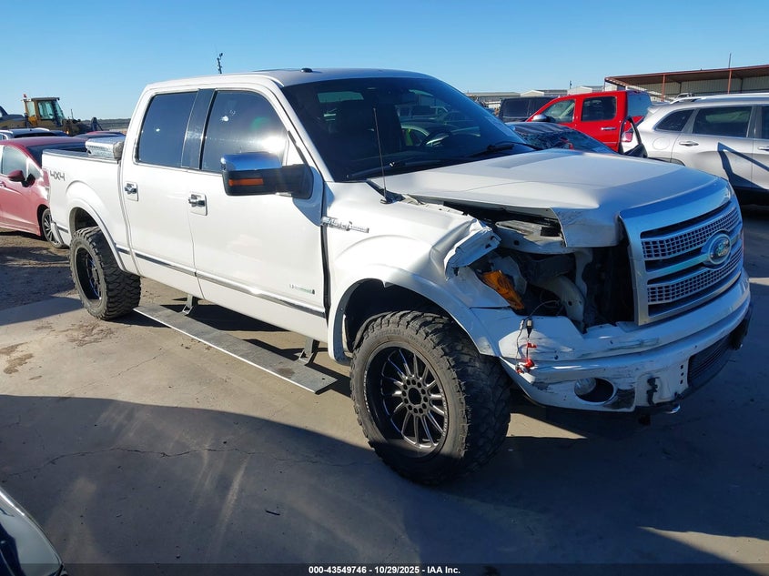 FORD F-150 PLATINUM