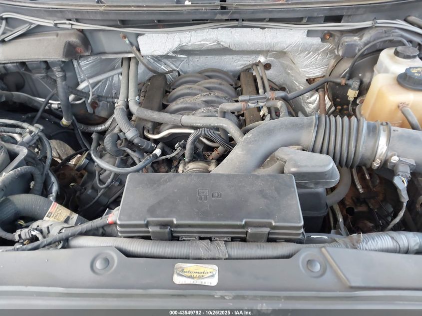 2011 Ford F-150 Fx4 VIN: 1FTFX1EF5BFD24005 Lot: 43549792