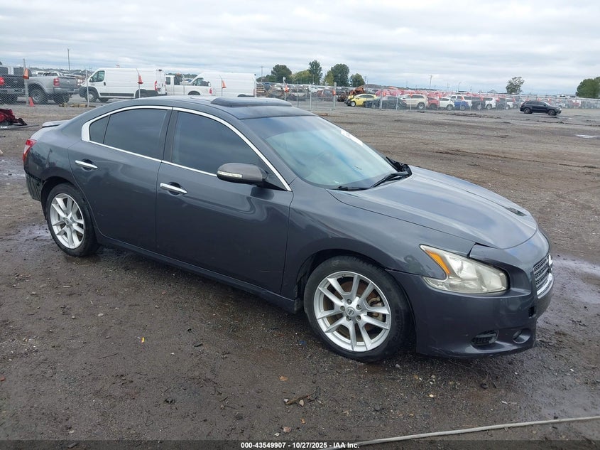 NISSAN MAXIMA 3.5 SV