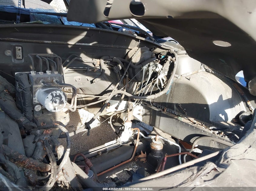 2006 Pontiac Gto VIN: 6G2VX12U56L521253 Lot: 43550115