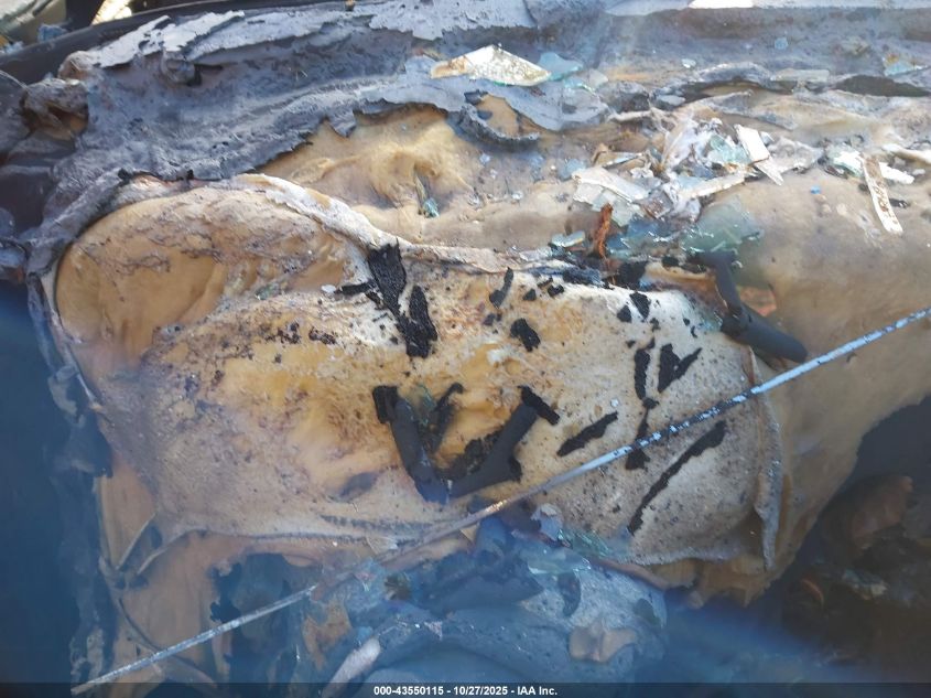 2006 Pontiac Gto VIN: 6G2VX12U56L521253 Lot: 43550115