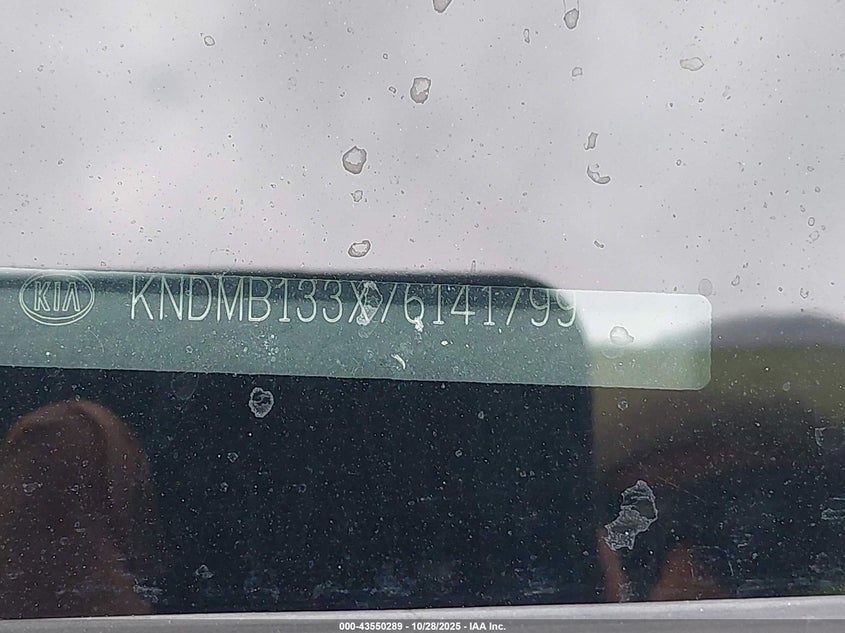 2007 Kia Sedona VIN: KNDMB133X76141799 Lot: 43550289