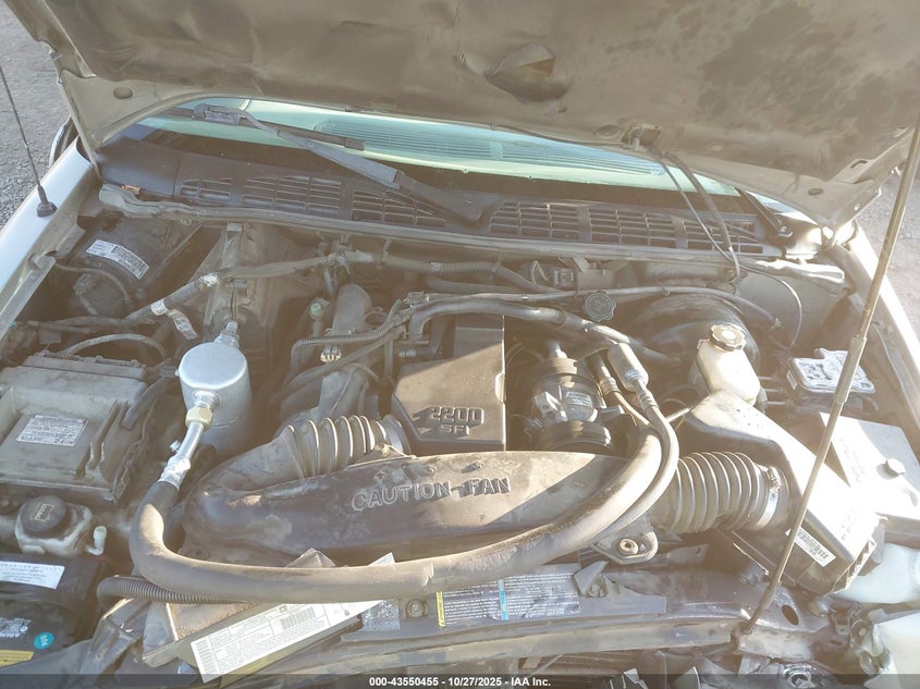 2002 GMC Sonoma Sl VIN: 1GTCS195928218812 Lot: 43550455