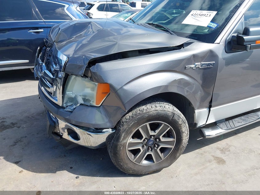 2009 Ford F-150 Xl/Xlt VIN: 1FTRW12829FB31178 Lot: 43550923