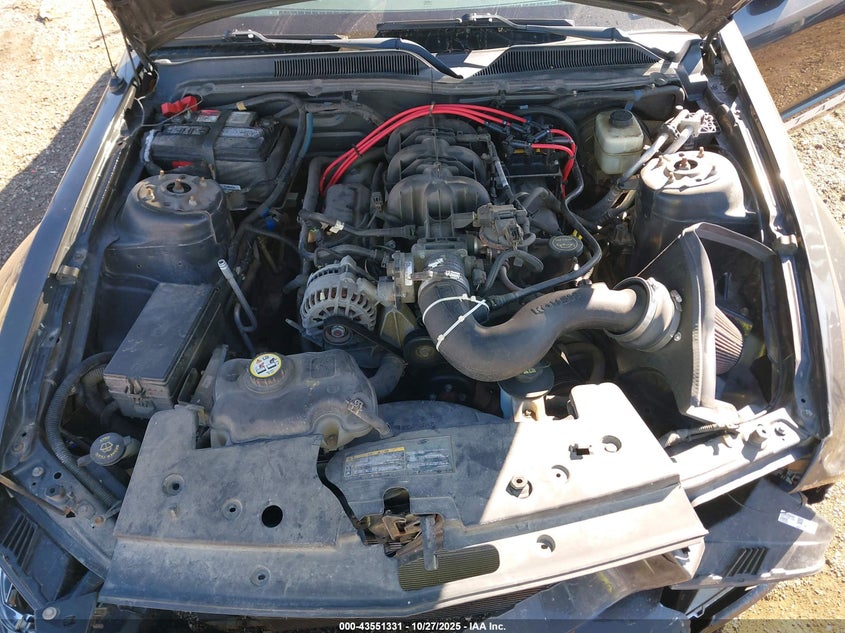 2008 Ford Mustang V6 Deluxe VIN: 1ZVHT80N685105044 Lot: 43551331