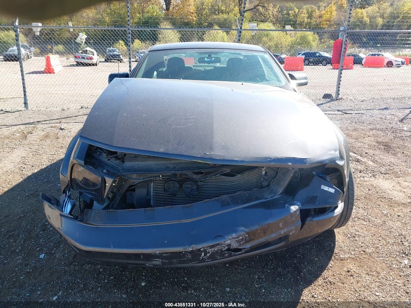 2008 Ford Mustang V6 Deluxe VIN: 1ZVHT80N685105044 Lot: 43551331