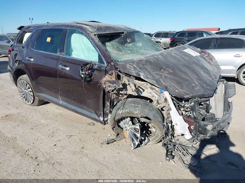 HYUNDAI PALISADE CALLIGRAPHY