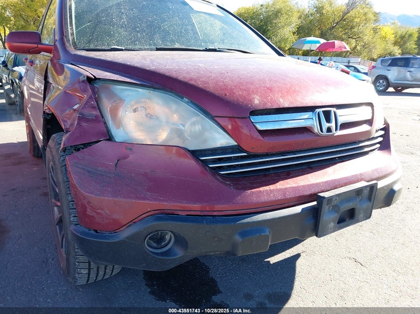 2009 Honda Cr-V Ex-L VIN: 5J6RE48739L053752 Lot: 43551743