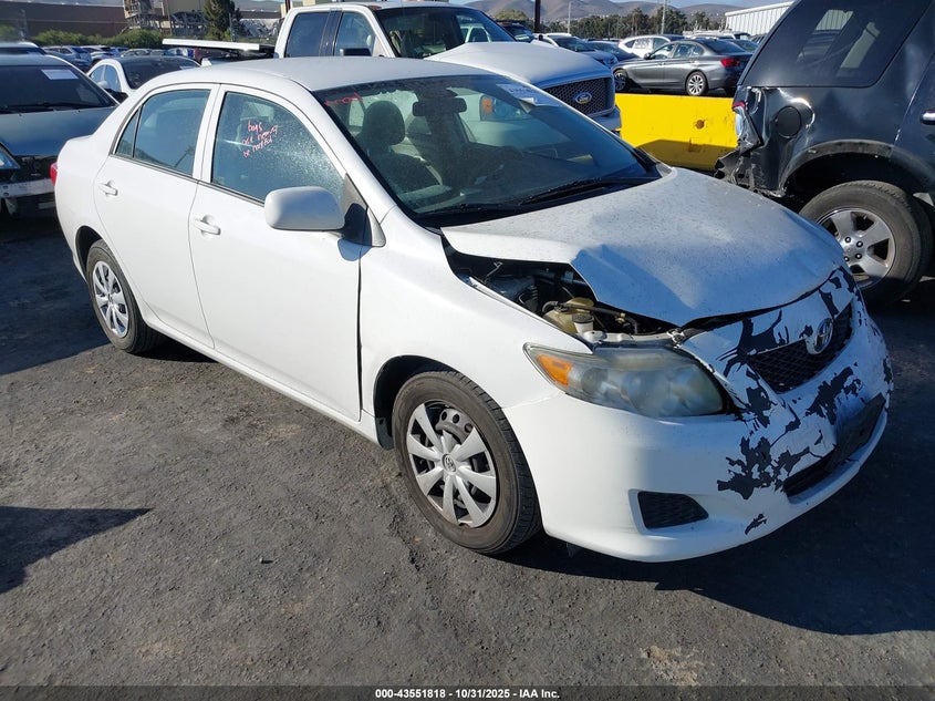 TOYOTA COROLLA LE/S/XLE