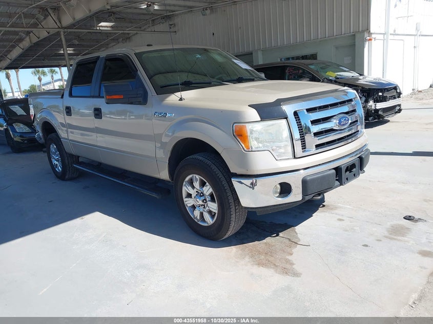 FORD F-150 XL/XLT